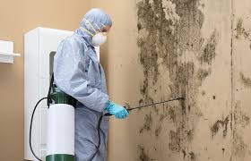 Best Air Quality Testing for Mold Spores  in Wernersville, PA